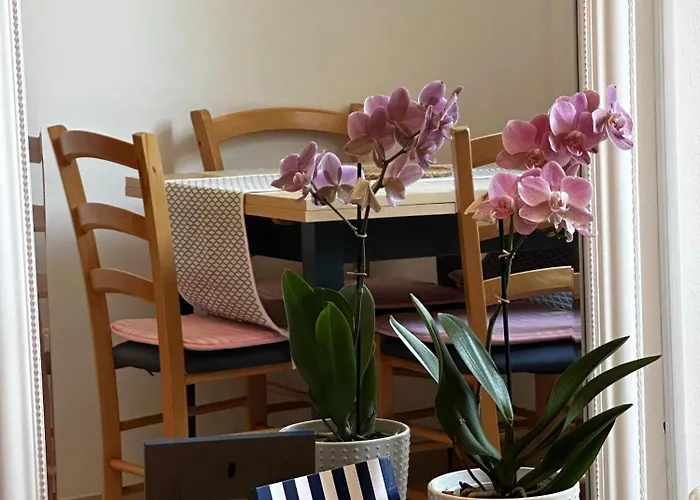 Διαμέρισμα Softic *